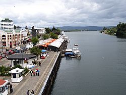 Archivo:Feria Fluvial Valdivia 003