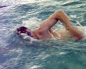 Archivo:FrontCrawlSwimming