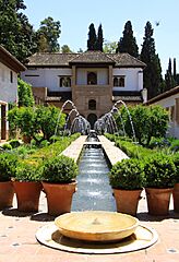Generalife3
