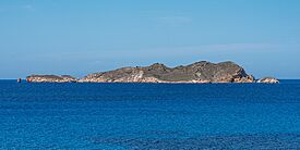 Ibiza Illa de s'Espartar asv2023-04.jpg