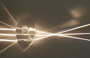 Archivo:Large convex lens