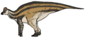 Life reconstruction of Velafrons coahuilensis