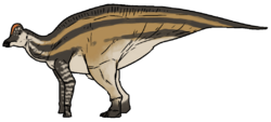 Life reconstruction of Velafrons coahuilensis.png