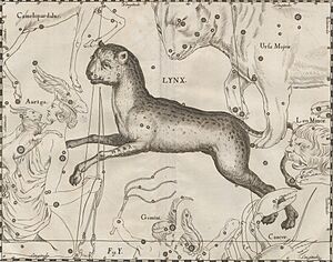 Archivo:Lynx - Prodromus astronomiae 1690 (5590412)