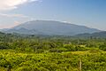 Mount mantalingahan palawan