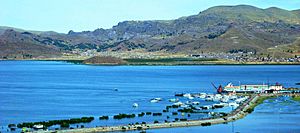 Archivo:Panoramica Puerto de Puno
