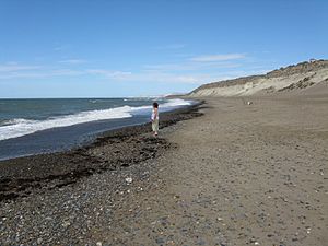 Archivo:Playa Magagna-(March 2008)