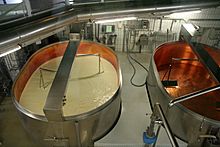 Archivo:Production of cheese 1