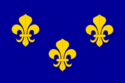 Royal flag of France.svg