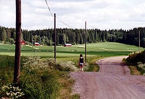Archivo:Rural landscape in Finland