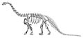 Sharp naturalhistory1921 camarasaurus