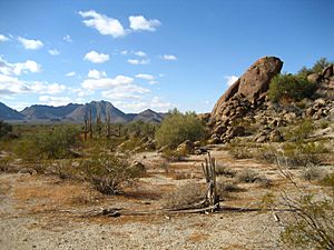 Archivo:Sonoran Desert 33.081359 n112.431507