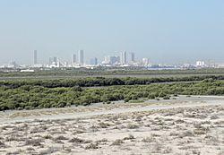 Umm Al Quwain mangroves (7267363924).jpg