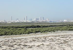 Umm Al Quwain mangroves (7267363924).jpg