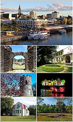 Valdivia montaje de fotos.jpg