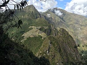 View of Machu Picchu from Waynapicchu (Landscape)