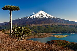 Archivo:Volcán Llaima y Laguna Conguillío, desde Sierra Nevada
