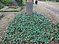 Waldfriedhof Zehlendorf Hinnerk und Lou Scheper