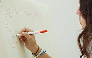 Archivo:White board IPS