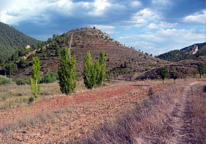 Archivo:1-Barrachina-paisajeRural (2014)0008