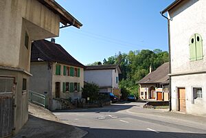 Archivo:2014-05-18-Yverdon (Foto Dietrich Michael Weidmann) 021