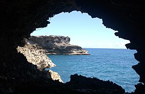 Archivo:ANIMAL FLOWER CAVE - BARBADOS