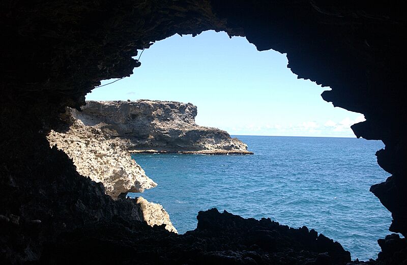 ANIMAL FLOWER CAVE - BARBADOS