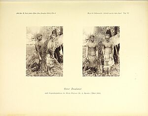 Archivo:Abhandlungen und Berichte des Koniglichen Zoologischen und Anthropologisch-Ethnographischen Museums zur Dresden. (16581048048)