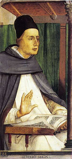 Archivo:Alberto Magn (Alberto Magno) - Studiolo di Federico da Montefeltro