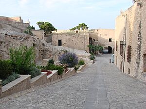 Archivo:Alicante4kk