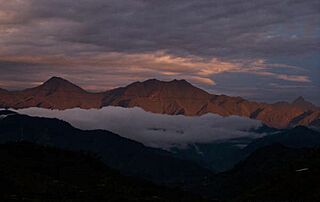 Andes JARDIN.jpg