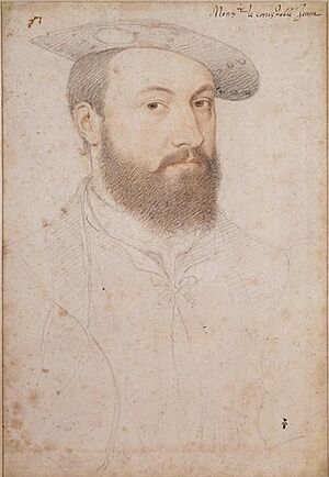 Archivo:Anne de Montmorency (1530)