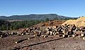 Aserradero en Yecora, Sonora