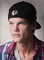 Avicii 2014 003cr