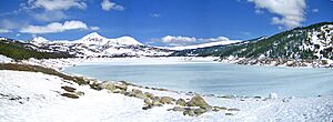 Archivo:Bollosa (capcir)