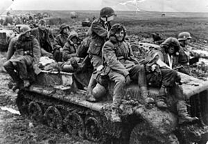 Archivo:Bundesarchiv Bild 146-1977-143-15, Russland, Angehörige der Waffen-SS