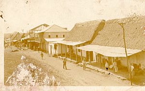 Archivo:Calle Ruiz Cortinez, Tres Valles, Ver.(1929)