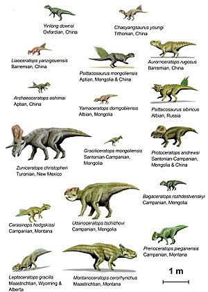 Archivo:CeratopsiaI BW