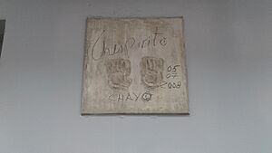 Archivo:Chespirito Chavo 5~Jul~2008