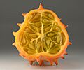 Cucumis metuliferus fruit cross section