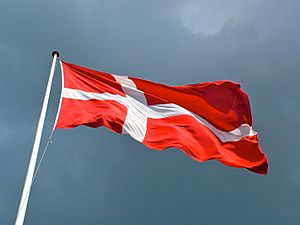 Archivo:Dannebrog