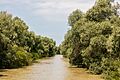 Delta del Danubio, Rumanía, 2016-05-28, DD 16