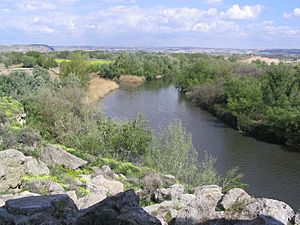 Archivo:Desembocadura del Manzanares en el Jarama