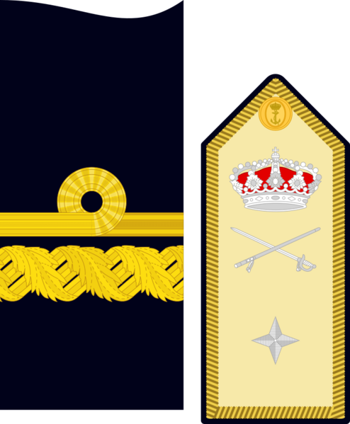 Divipalaarmadaes 24
