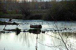Archivo:El rio Luna al atardecer en su paso por Santiago del Molinillo
