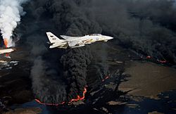 Archivo:F-14A VF-114 over burning Kuwaiti oil well 1991