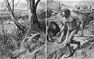 Archivo:Forestier Nebraska Man 1922