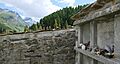 GraveClaudioAbbado-FexCrastoGR RomanDeckert20072024-04