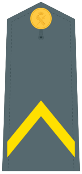 Guardiacivildivi28