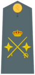 Divisa de general de división